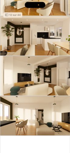 Opération de rénovation immobilière — Vendome appartement hugo